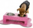 /album/fotogaleria-productos/accesorios-para-perros2-jpg/